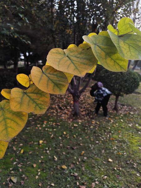 95d1b78216892efd855144ffcbf9a102 95d1b78216892efd855144ffcbf9a102