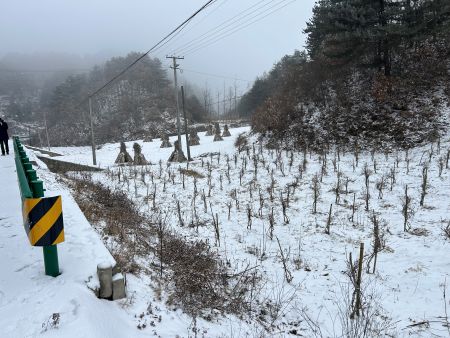 微信圖片_20260104105535