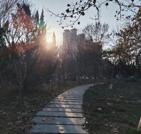 34ec6b4f55876ace1d6b8aa395547223